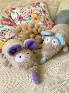 ✨ CONCOURS ! ✨ 

Vous l’avez peut-être aperçu en stories ces jours-ci, il y a un petit nouveau dans la famille Coozinoo !
Il est tout doux, il est tout mou, il est tout léger, il a une bouille à croquer, c’est le doudou parfait ! 🤩 
Même si ce n’est pas un animal que l’on retrouve habituellement comme doudou, celui-ci est tellement mignon qu’on s’y attache immédiatement. Et pour preuve, ma fille et moi ne les lâchons plus depuis que je les ai confectionné ! 🥰

Mais voilà, j’ai un petit soucis et je vais avoir besoin de votre aide !
Je n’arrive pas à trouver un petit nom/surnom à ce doudou. 🤔
Alors je fait appel à votre imagination, et celui/celle qui arrivera à lui trouver un nom idéal se verra offrir son doudou rat ! ✨🎁
En exclusivité donc, puisque ce petit bonhomme n’est pas encore disponible sur ma boutique !

J’avais lancé un sondage en story, mais peut-être que certains d’entre vous l’on raté. Alors vous pouvez maintenant commenter sous ce post, et me faire toutes vos propositions. 
Le concours reste ouvert jusqu’au 19 décembre !

A vos claviers !

#doudoufaitmain #doudoucousumain #doudoupersonnalisé #creationsfrancaises #fabriqueenfrance #artisanatfrancais #creationartisanale #creatricefrancaise #doudouoriginal #coozinoo #doudouunique #peluchefaitmain #doudousurmesure #creationdoudou #cadeaudenaissance #cadeaunaissancepersonnalisé #cadeaunaissancefaitmain #doudourigolo #doudourat #concours #gagnetondoudou