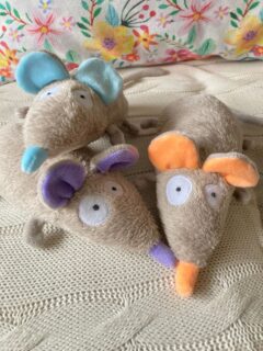 Les petits doudous rats <3 
Ne sont-ils pas rat-vissants ?! 🤪

#doudoufaitmain #doudoucousumain #doudoupersonnalisé #creationsfrancaises fabriqueenfrance artisanatfrancais creationartisanale creatricefrancaise doudouoriginal coozinoo doudouunique peluchefaitmain doudousurmesure creationdoudou cadeaudenaissance cadeaunaissancepersonnalisé cadeaunaissancefaitmain doudourigolo doudourat