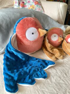 Un doudou piouf un peu spécial. Celui-ci a trop mangé de soupe !
75cm d’envergure d’ailes, il y a de quoi faire de grooooos câlins tout doux ! 🥰🤗

#doudoufaitmain #doudoucousumain #doudoupersonnalisé #creationsfrancaises #fabriqueenfrance #artisanatfrancais #creationartisanale #creatricefrancaise #doudouoriginal #coozinoo #doudouunique #peluchefaitmain #doudousurmesure #creationdoudou #doudouanimal #cadeaunaissance #cadeaudenaissance #cadeaunaissancepersonnalisé #cadeaunaissancefaitmain #listedenaissance #futuremaman #doudounaissance #cadeaubebe #doudoubebe #creatricebebe #doudourigolo #doudouoiseau #doudoupiouf